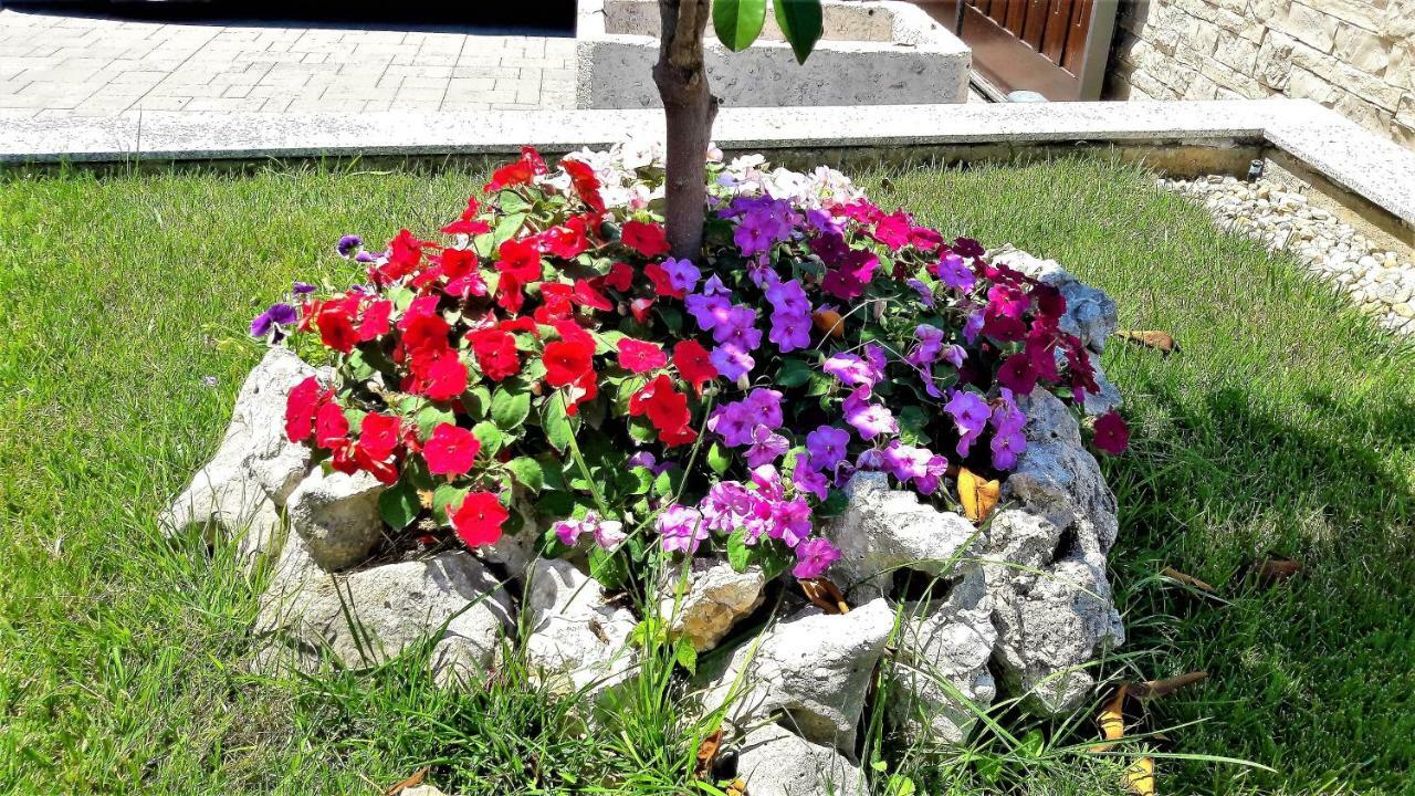 Apartments Ena Задар Екстериор снимка